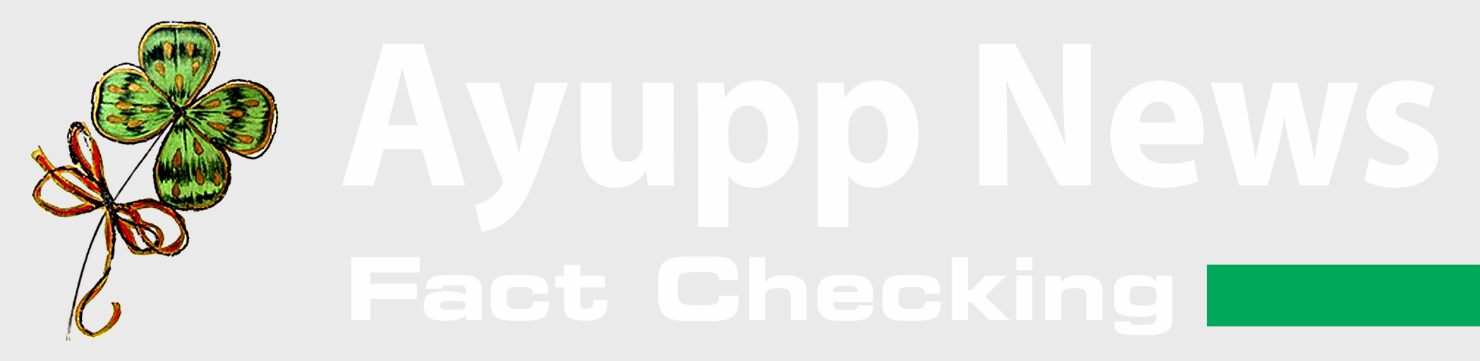 Ayupp News
