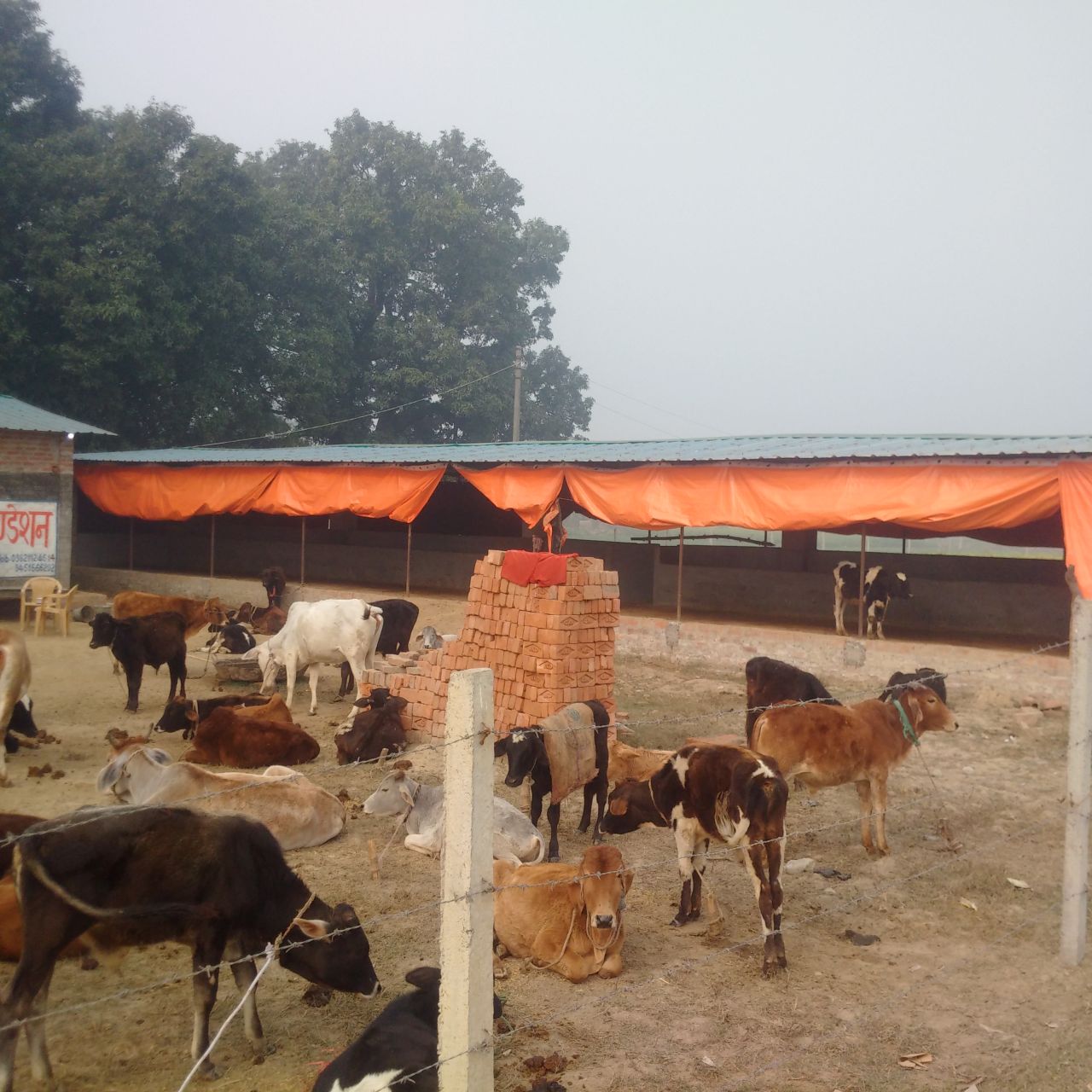 Dhyan Foundation Gaushala – Narhan - Gorakhpur - Ayupp Fact Check