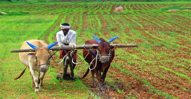 Government makes easier for Farmers to get loan and pay with low interest