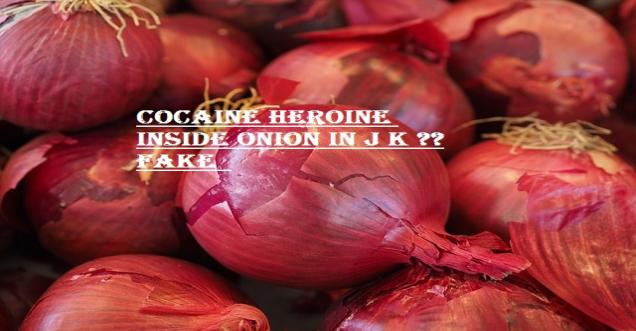 Terrorist Ghilani Drug traffickers smuggle cocaine inside onions