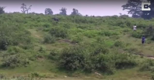 WARNING Video: Never fool around with Beast like elephant