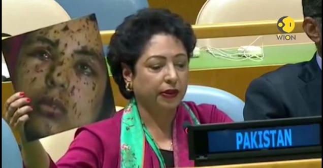 Fact check: Did Pak envoy shows fake photo to defame India at UN