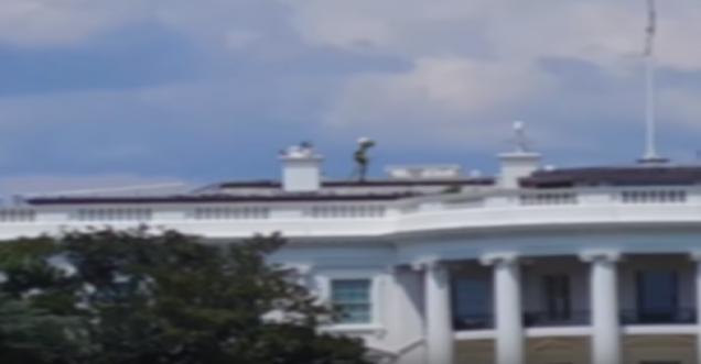 Alien seen on top of Whitehouse caught on tape Chinese tourists