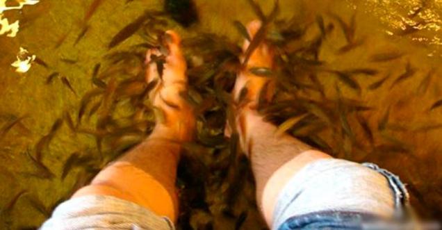 Did a 35 Year Old Man Killed fish with his Stinky Feet at Fish Spa