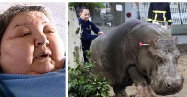 Fact Check: Did 400-pound woman sue Paris Zoo, hippo tried rape her