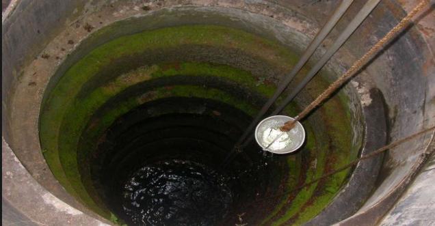 Odisha Newborn snatched by monkey found dead in well