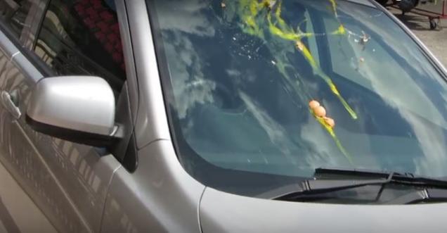 Video Facts check: Egg Windshield Attack Robbery Warning