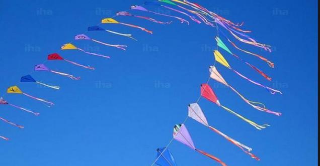 Did Hyderabad Ban Kite Flying During Makar Sankranti?