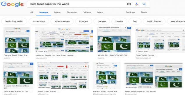 Pakistani Flag on Google search for Best toilet paper in world