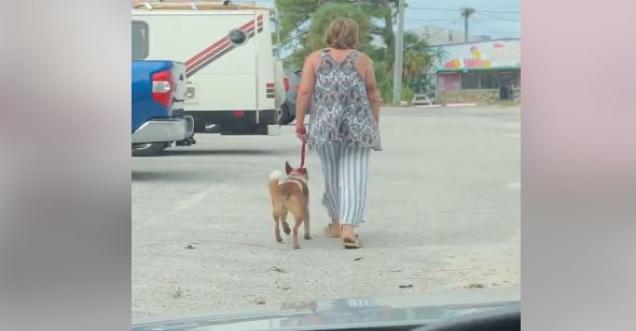 Video of women chocking a dog