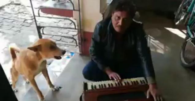The Dog sang Ranu Mandal song, thinking he can be famous as well