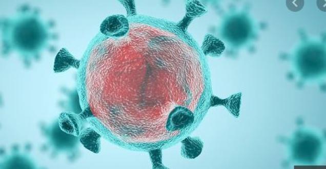 Coronavirus India update latest news total case reaches 45356