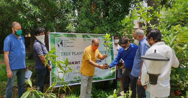 Sukrit Foundation Tree Plantation campaign on World Environment Day