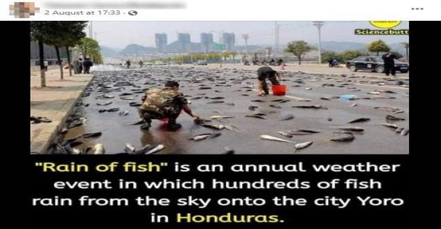Does the city Yoro in Honduras receive rain of fish every year?