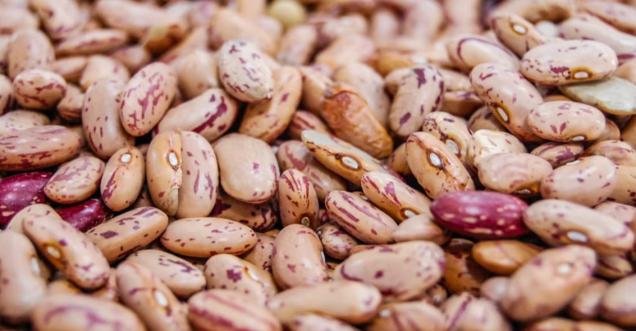 Top 10 Foods to Clean Your Arteries that Can Prevent a Heart Attack, Beans
