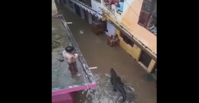 Fact Check: Crocodile seen walking in water on road amid heavy rain in Bangalore, know the truth of the video