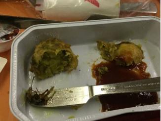 Cockroach served in food in Air India Flight