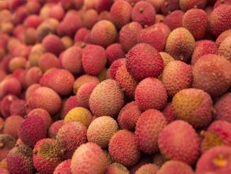After 20 Years Research found Eating Lychee, Brain Failure, Coma