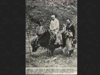 Congress quest, Twitter user says PM Nehru rode Bhutan by Donkey