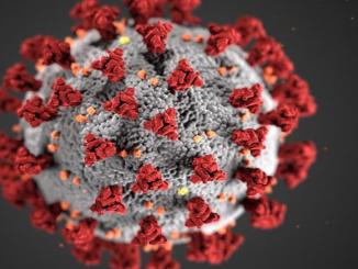 States holiday on coronavirus: Fact Check