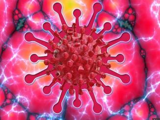 What is the Human Corona virus, and How Dangerous Is It?
