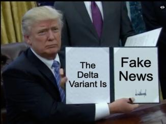 Have you seen the latest fake news? What do you think of it?