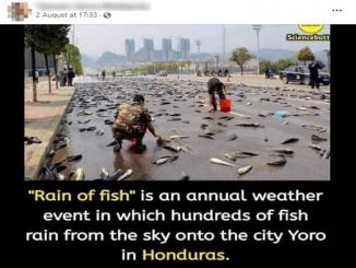 Does the city Yoro in Honduras receive rain of fish every year?